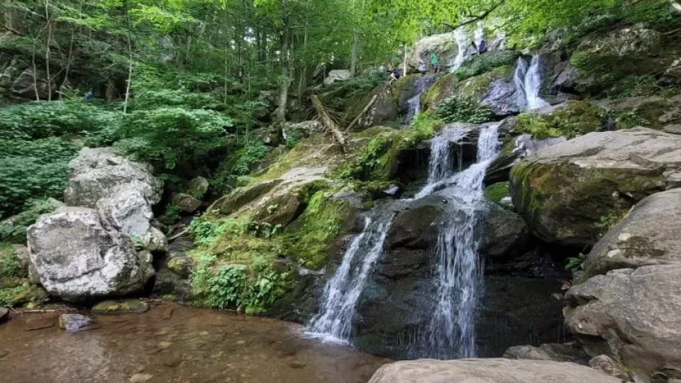 Národní park Shenandoah