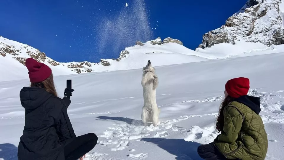 Fotr na tripu 8, Švýcarsko