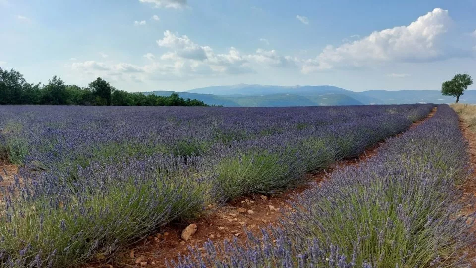 Mont Ventoux