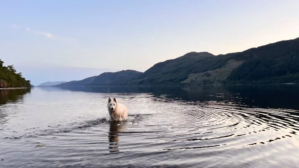 Jezero Loch Ness