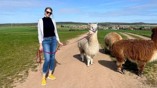 Zašli jsme si na procházku s alpakami. Statek U Merlina toho nabídne ale mnohem více