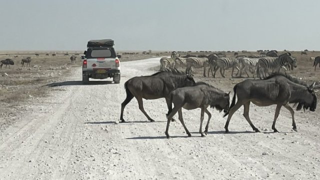 Namibie