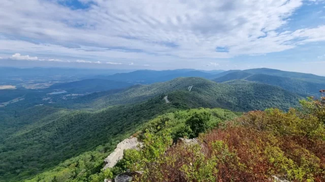 Pohádkové lesy, jeskyně, srny i vlk. Chození po národním parku Shenandoah má spoustu lákadel