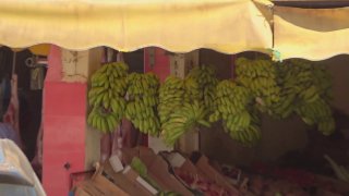 Když turistu přepadne v Maroku průjem, řešením jsou čerstvé a opravdu výborné banány z města Tamri