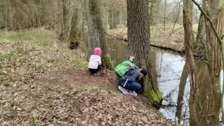 Třeboňsko