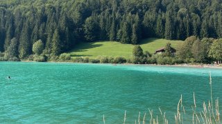 Walchensee