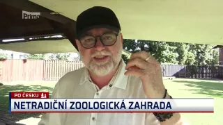 V této ZOO je dotýkat se zvířat dovoleno. I krokodýla, hrocha nebo tygra!