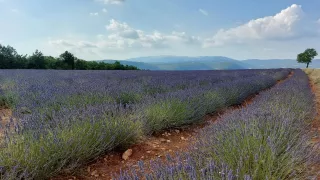 Mont Ventoux