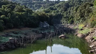 Sardinia: Lago Liscia