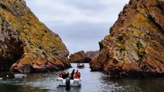 Berlengas