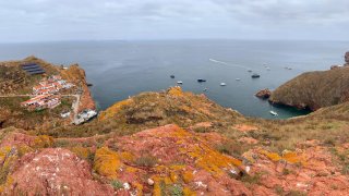 Berlengas