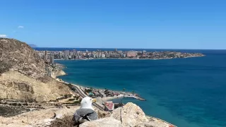 Alicante