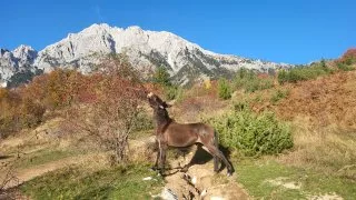 Albánie Theth - Valbona pass