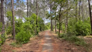 Lège-Cap-Ferret