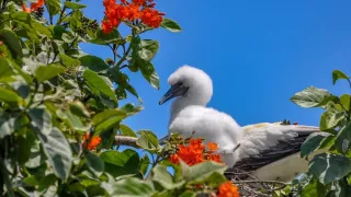 Belize