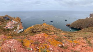 Berlengas