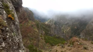 Madeira