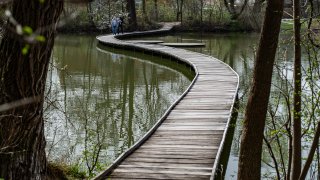 Vestecký rybník