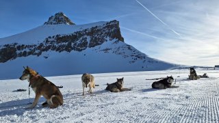 Dvoudenní návštěva Švýcarska: Nevynechejte dechberoucí Glacier 3000 a procházku v Ženevě