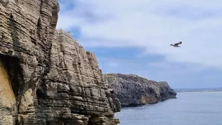 Berlengas