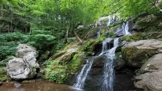 Národní park Shenandoah