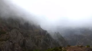 Madeira