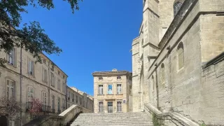 Avignon