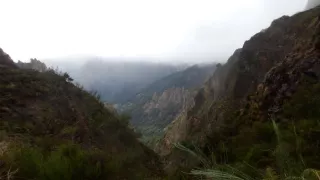 Madeira