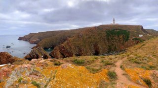 Berlengas