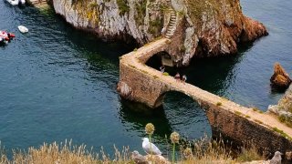 Berlengas