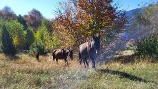 Albánie Theth - Valbona pass