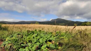 Bieszczady, Polsko