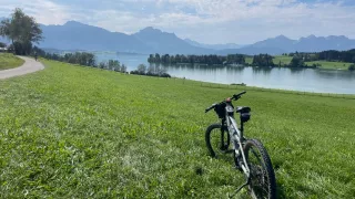 Forggensee