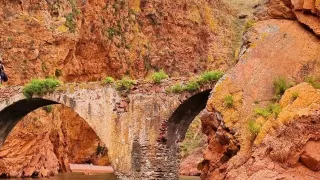 Berlengas