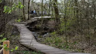 Vestecký rybník