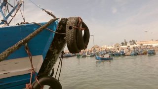 Essaouira je malebné přístavní město v Maroku. Mají tu navíc největší marocký trh s rybami