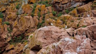 Berlengas