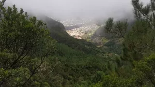 Madeira