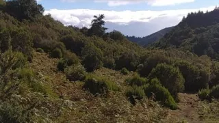 Madeira