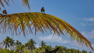 Belize