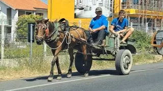 Albánie, komunita, 2023