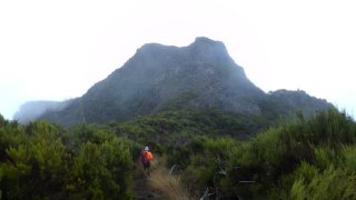 Madeira