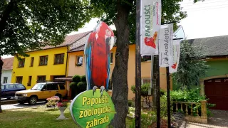 Papouščí ZOO