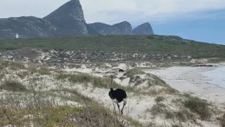 Buffels Bay, Jihoafrická republika