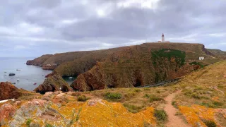 Berlengas