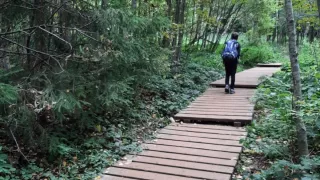 Bieszczady, Polsko