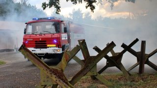 Nově můžete státu oznámit zahraniční cesty jednoduše přes mobil. Využít DROZD se určitě vyplatí