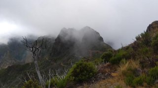 Madeira