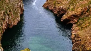 Berlengas